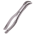 Cowhorn Extraction Forceps image 0