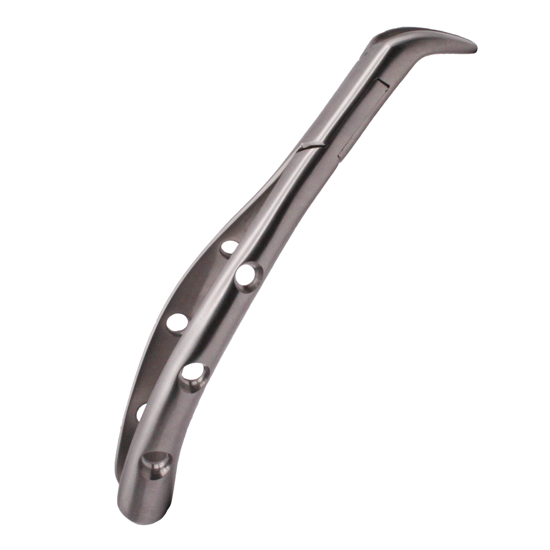 Pediatric Extraction Forceps image 0