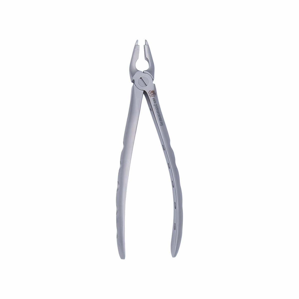 Atraumatic Extraction Forcep - Upper Universal image 2