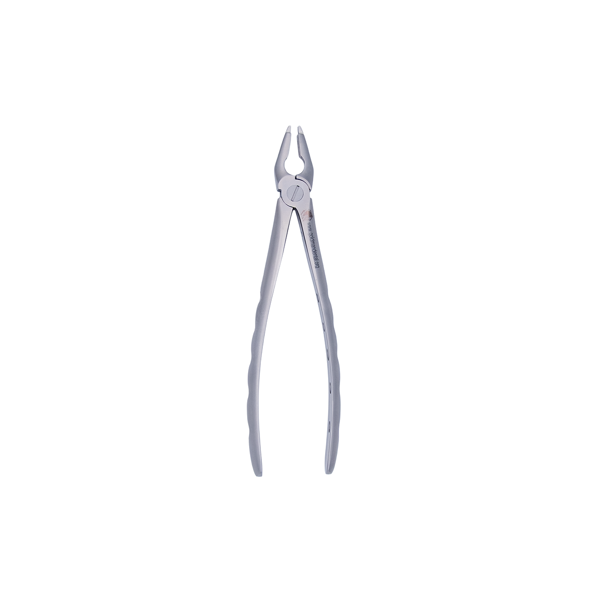 Atraumatic Extraction Forcep: Upper Straight image 1