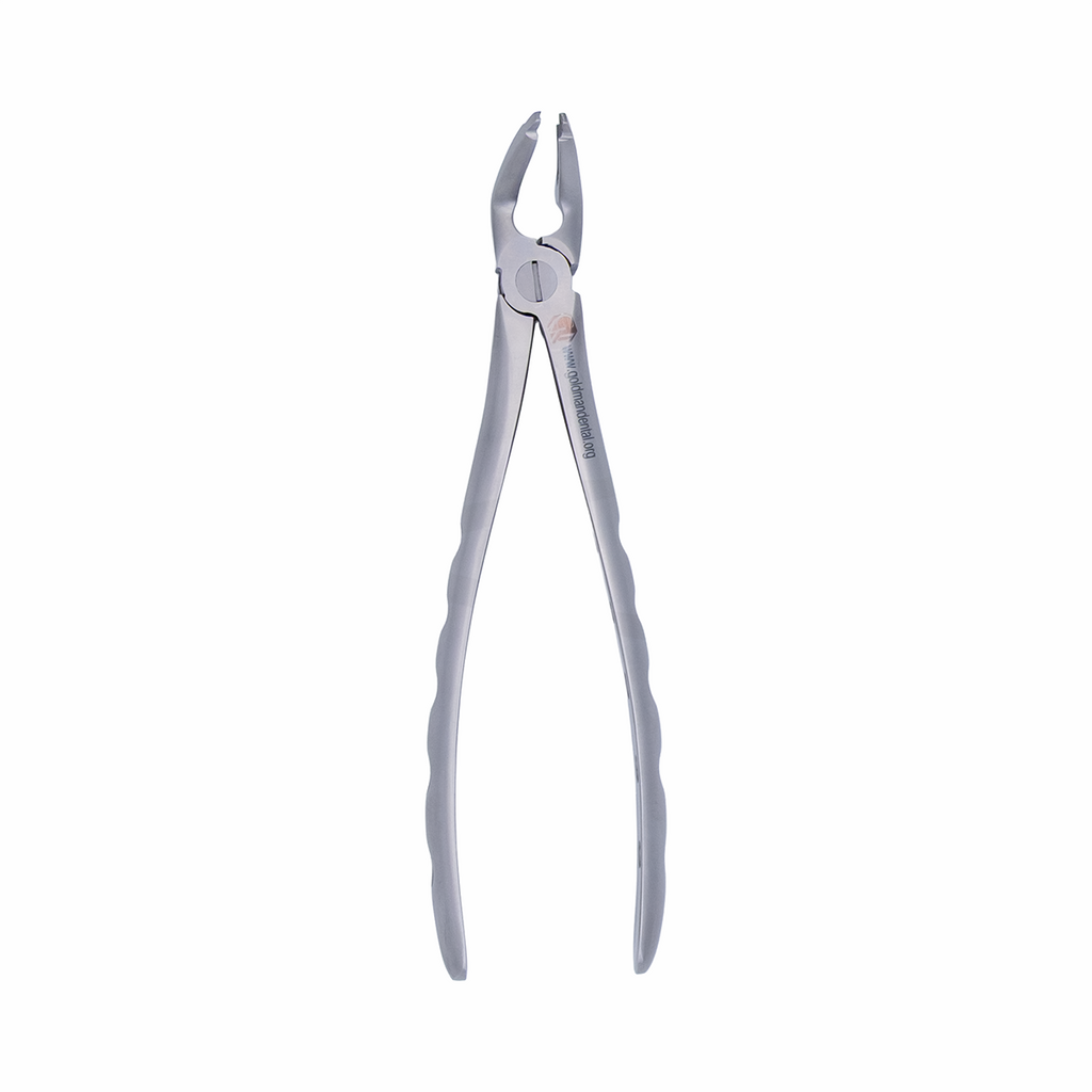 Atraumatic Extraction Forcep: Lower Universal image 2